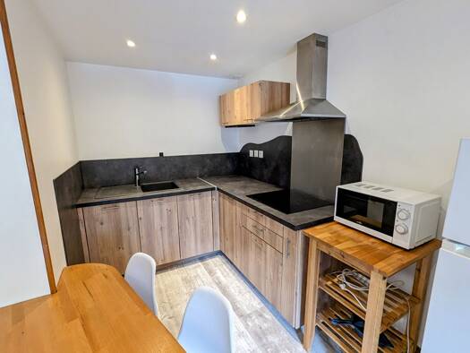 Appartement à louer 385 € 1 pièce 1 chambre 27 m² Étage 1/2 Le Bernay-Valfuret-La Rivière Saint-Étienne 42000