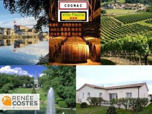 Maison en viager occupé Bouquet 118 314 € 3 pièces 2 chambres 85 m² 720 m² de terrain Crouin Cognac 16100