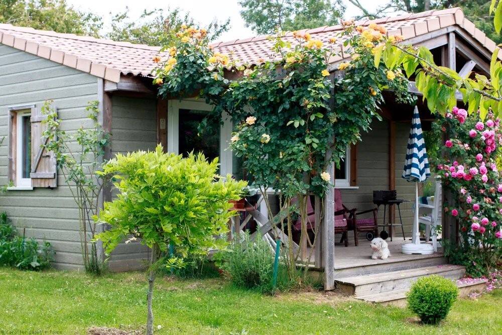 Maison à vendre, 0m², SAINT GERMAIN DE LUSIGNAN