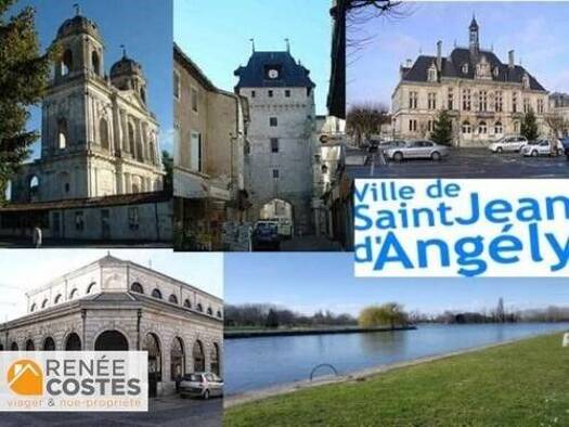 Maison en viager occupé Bouquet 64 066 € 4 pièces 3 chambres 120 m² 1 401 m² de terrain Sud Saint-Jean-d'Angély 17400