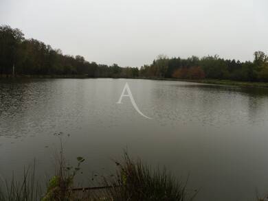 Propriété de loisirs à vendre 262 500 € 66 000 m² de terrain Lamotte Beuvron 41600