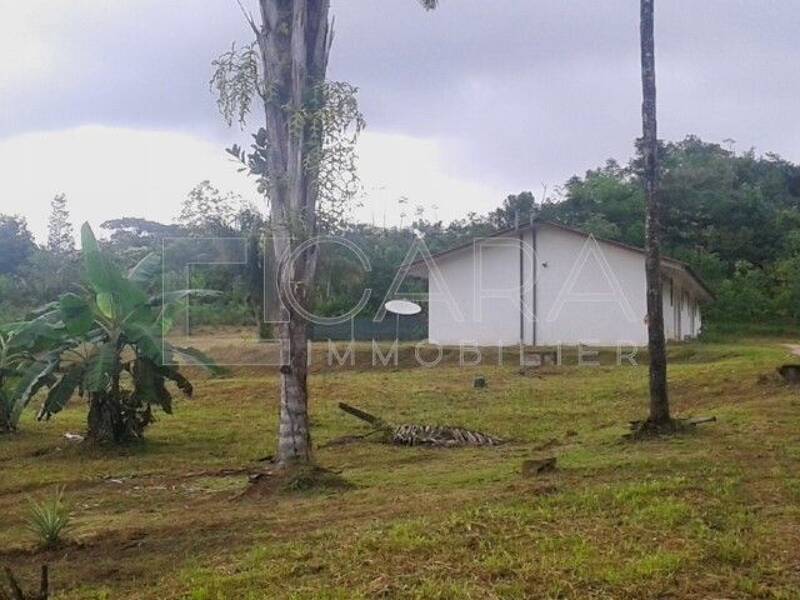 Maison à louer, 73m², MATOURY