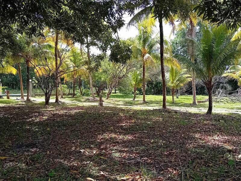 Maison à vendre, 250m², MANA