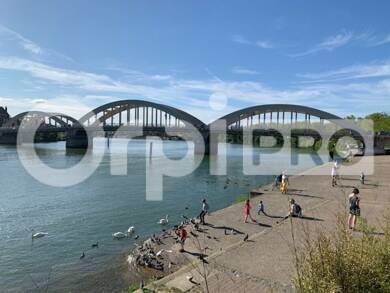 Local commercial avec bail commercial 808 € 45 m² de surface de vente Neuville sur Saone 69250