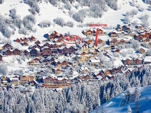 Chalet à vendre 700 000 € 5 pièces 4 chambres 133 m² 251 m² de terrain Vaujany 38114