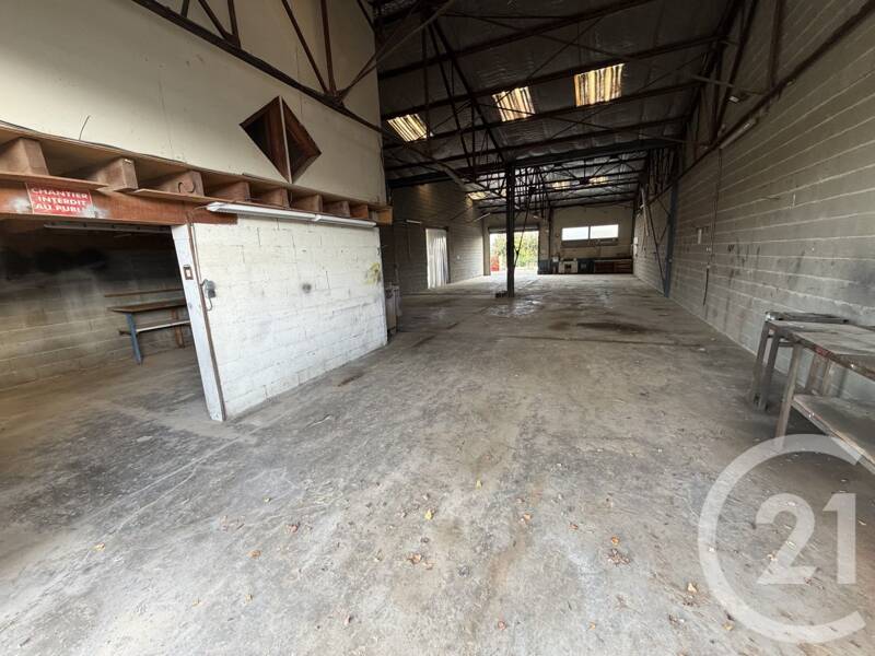 Maison à louer, 250m², L'ISLE JOURDAIN