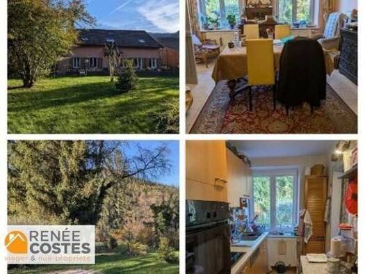 Maison en viager occupé Bouquet 92 340 € 8 pièces 6 chambres 201 m² 1 923 m² de terrain Raon-sur-Plaine 88110