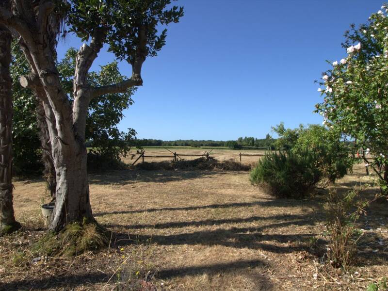 Maison à vendre, 168m², NIEUL LES SAINTES