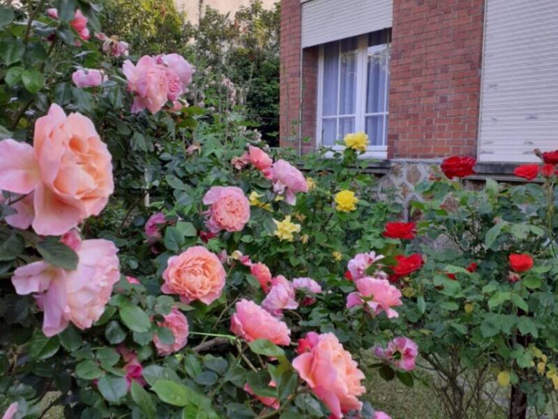 Maison à vendre, 150m², REIMS