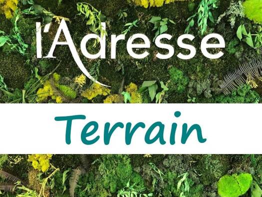 Terrain à vendre 35 000 € 736 m² de terrain Mauléon-Licharre 64130