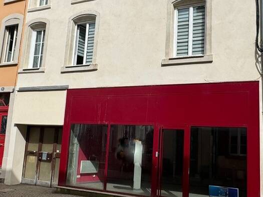 Immeuble à vendre 245 000 € 312 m² Château-Champ de Mars Lunéville 54300