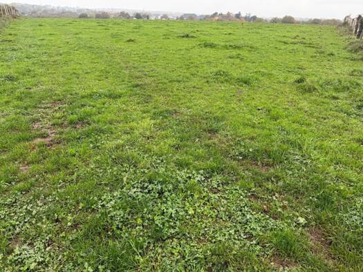 Terrain constructible à vendre 47 000 € 790 m² de terrain Candé 49440