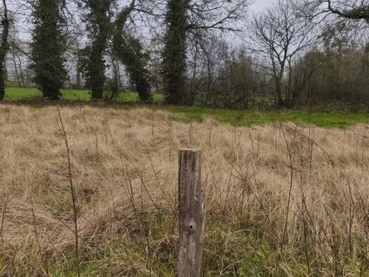Terrain à vendre 89 100 € 634 m² de terrain Saint-Thual 35190