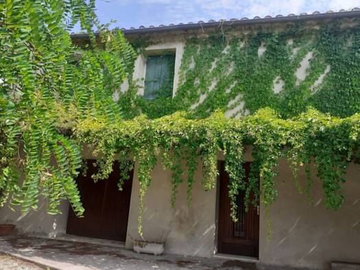 Maison à vendre 525 000 € 1 pièce 4 chambres 134 m² 420 m² de terrain Assas 34820