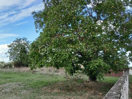 Terrain constructible à vendre 27 500 € 685 m² de terrain Chabournay 86380