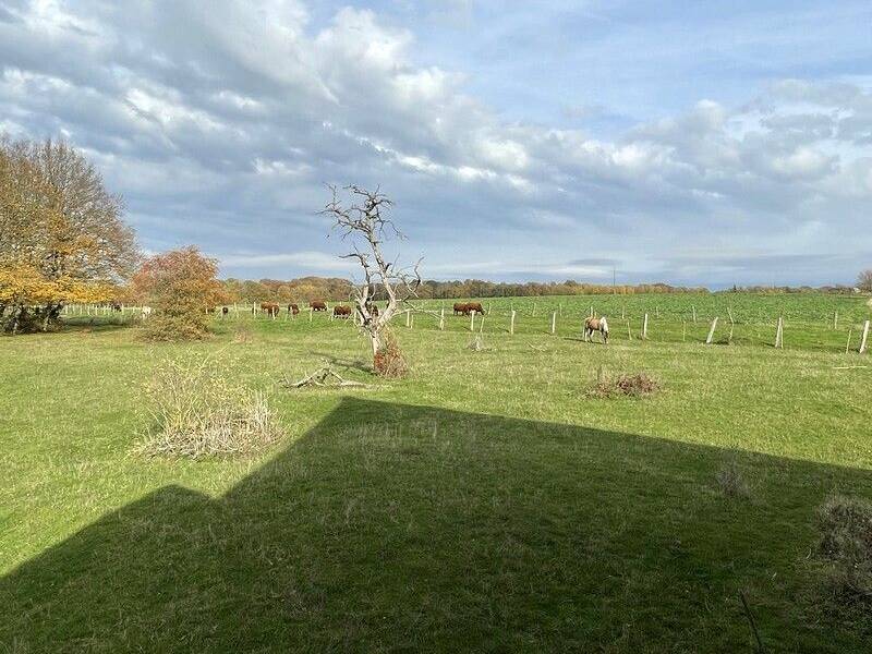 Maison à vendre, 250m², REIMS