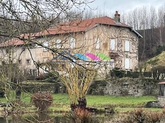 Maison à vendre 296 000 € 9 pièces 4 chambres 256 m² 8 016 m² de terrain Bréménil 54540