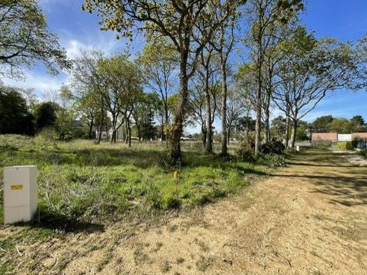 Terrain à vendre 240 240 € 1 074 m² de terrain Erquy 22430