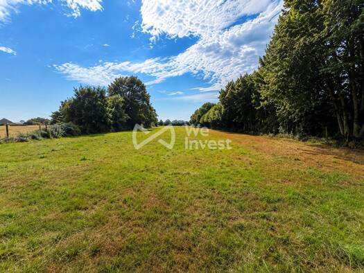 Terrain constructible viabilisé à vendre 115 000 € 11 864 m² de terrain Regniowez 08230