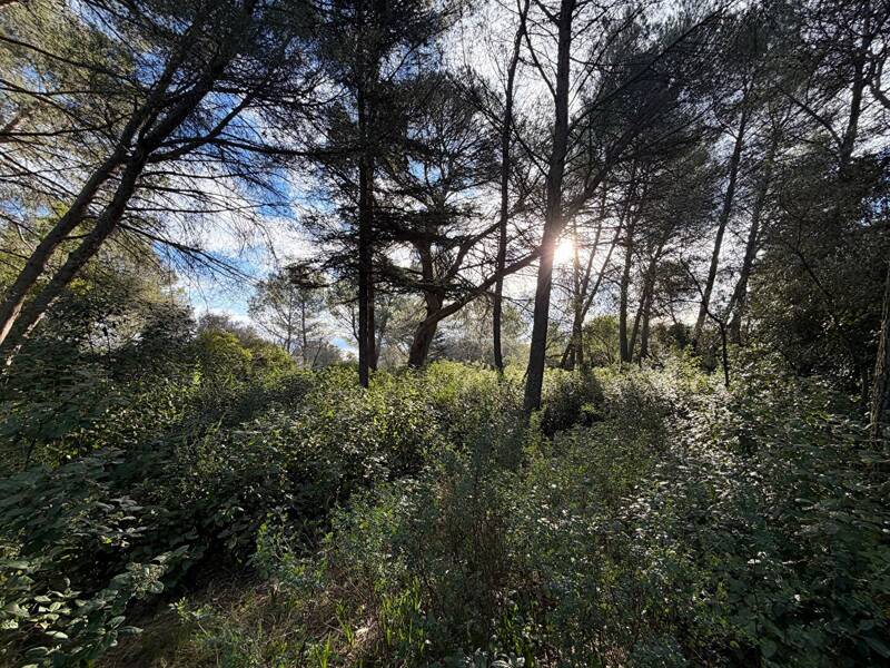 Maison à vendre, 38m², NIMES