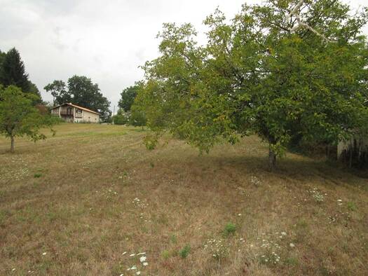 Terrain constructible à vendre 28 500 € 2 482 m² de terrain Douzillac 24190