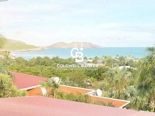 Appartement à vendre 995 000 € 2 pièces 1 chambre 36,8 m² RDC Saint-Barthélemy 97133