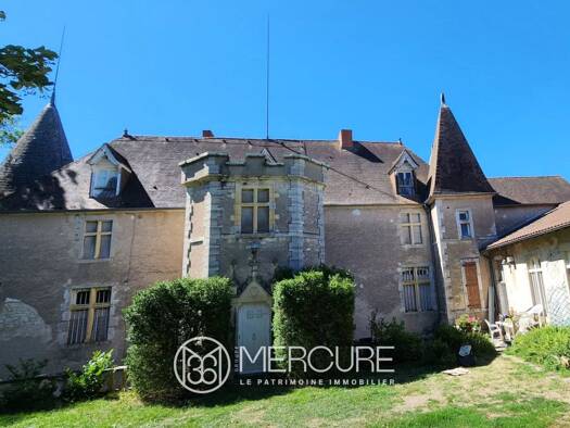 Château à vendre 790 000 € 14 pièces 7 chambres 350 m² 25 000 m² de terrain Ébreuil 03450