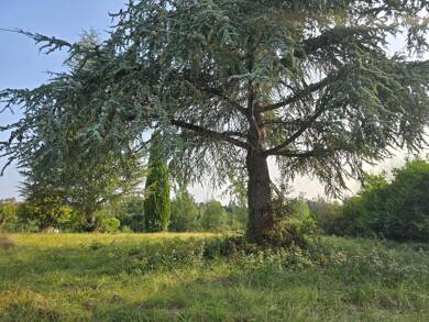 Terrain constructible à vendre 110 000 € 2 497 m² de terrain Faubourg Nord Auch 32000