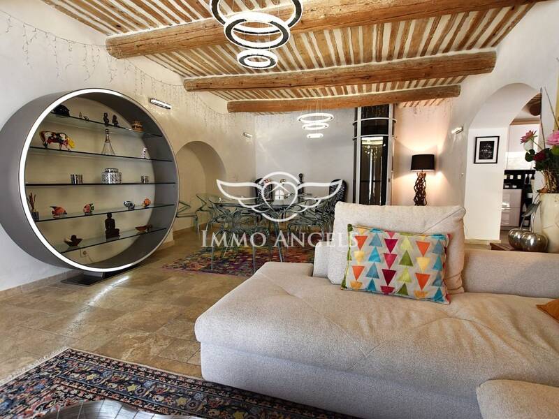 Maison à vendre, 341m², SAINTE CECILE LES VIGNES