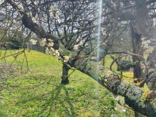 Terrain constructible à vendre 22 220 € 640 m² de terrain Est Déols 36130