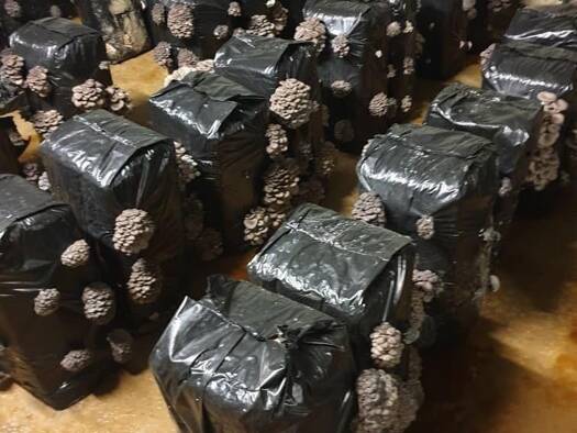 Boutique à vendre Fonds de commerce 149 000 € 160 000 m² de surface de vente Tours 37000