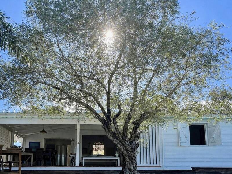 Maison à vendre, 120m², BAIE MAHAULT