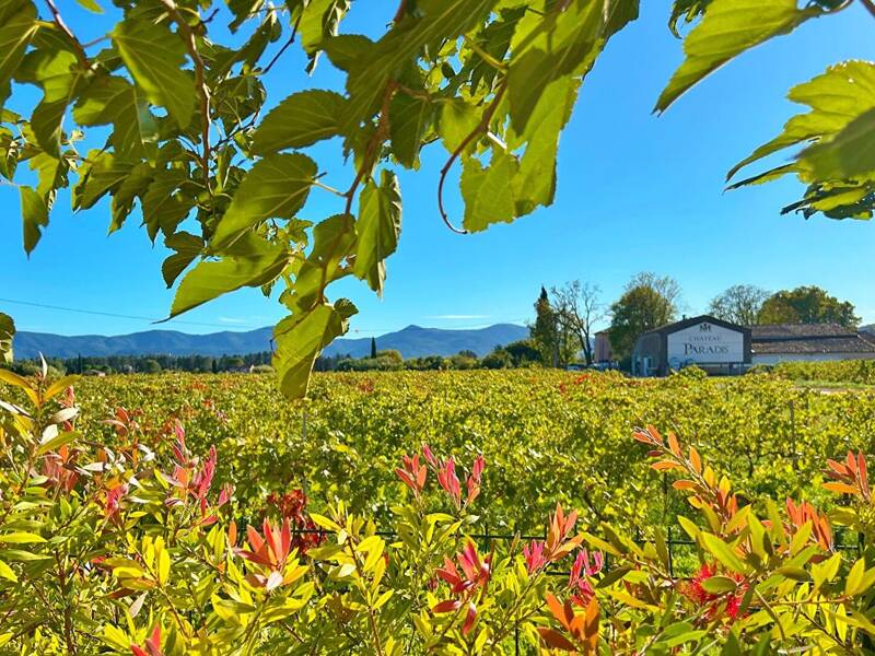 Maison à vendre, 42m², LE LUC
