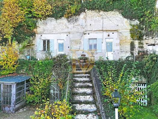 Maison à vendre 116 600 € 2 pièces 1 chambre 48 m² 832 m² de terrain Faverolles-sur-Cher 41400