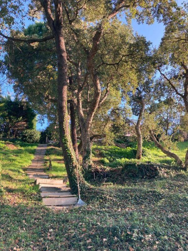 Maison à vendre, 231m², CANNES