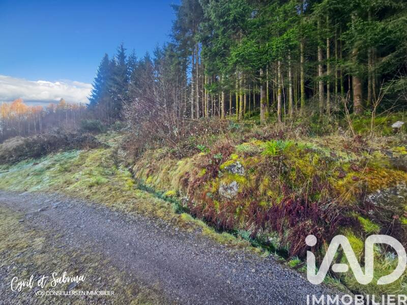 Maison à vendre, 100m², SAULXURES SUR MOSELOTTE