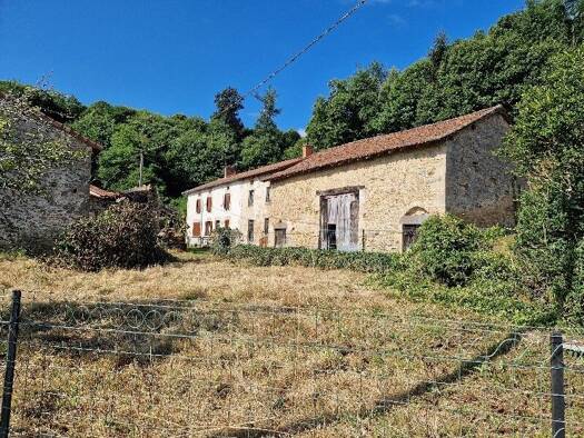 Ferme à vendre 139 000 € 8 pièces 5 chambres 100 m² 8 500 m² de terrain Thouron 87140