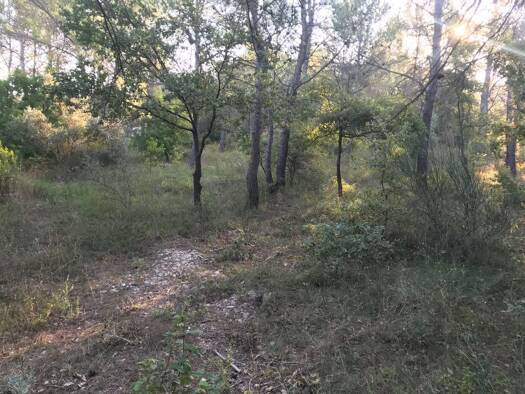 Terrain constructible à vendre 235 000 € 4 000 m² de terrain Brignoles 83170