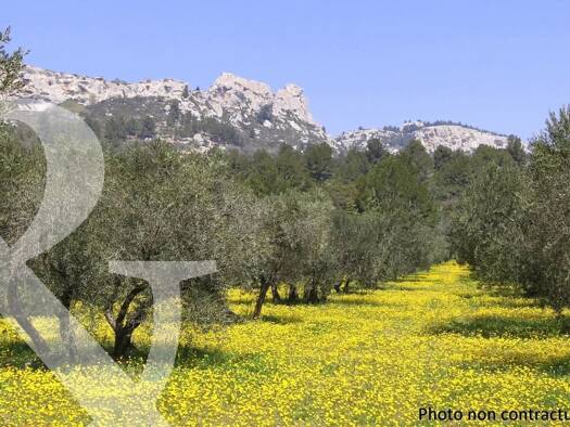 Terrain constructible à vendre 398 000 € 905 m² de terrain Paradou 13520