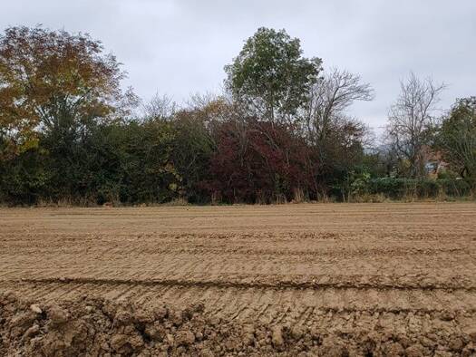 Terrain constructible à vendre 58 000 € 523 m² de terrain Vandières 54121