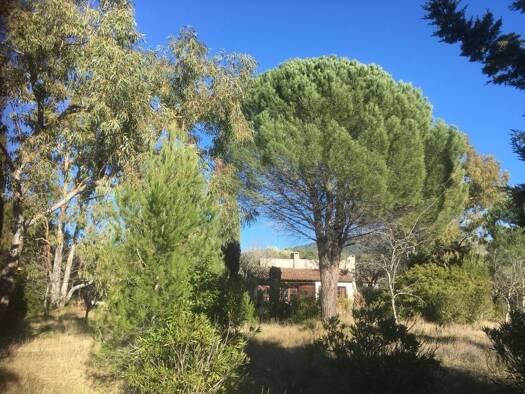 Maison de plain-pied à vendre 405 000 € 3 pièces 2 chambres 79 m² 1 871 m² de terrain Les Freres-Les Cancades-Les Ginestes Le Beausset 83330