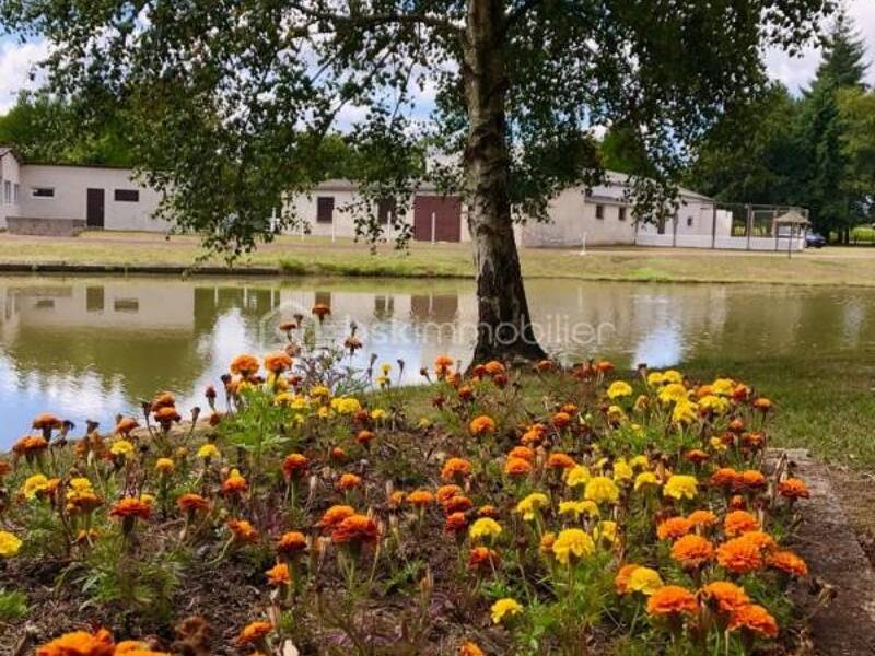 Maison à vendre, 380m², GAEL