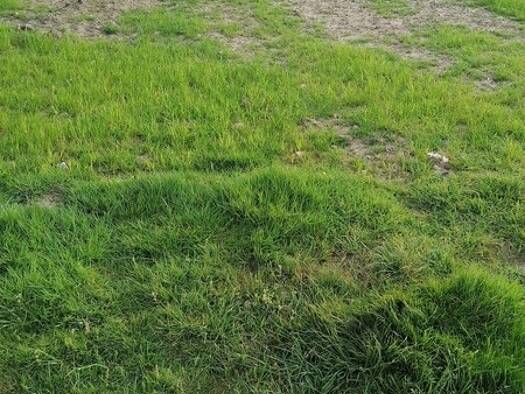Terrain constructible à vendre 78 000 € 390 m² de terrain Mellac 29300