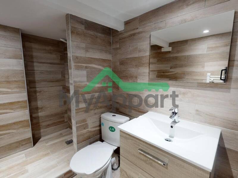 Maison à louer, 33m², LYON 1ER