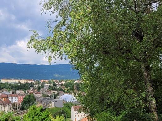 Terrain à vendre 170 000 € 1 062 m² de terrain Centre Ville Valserhône 01200