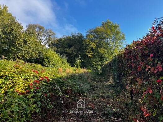 Maison à vendre 178 000 € 3 pièces 2 chambres 90 m² 678 m² de terrain Mons-en-Pévèle 59246