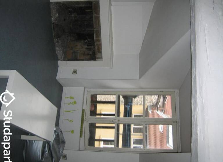 Appartement à louer 440 € 1 pièce 18 m²<br/>superficie 3ème<br/>étage Centre-ville - Victor Hugo Grenoble 38000
