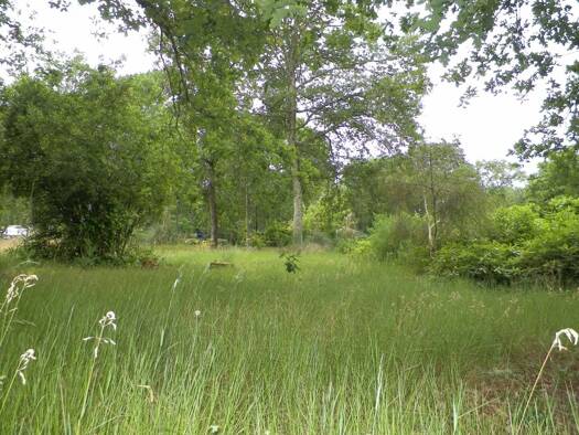 Terrain constructible à vendre 109 900 € 580 m² de terrain Saint-Selve 33650