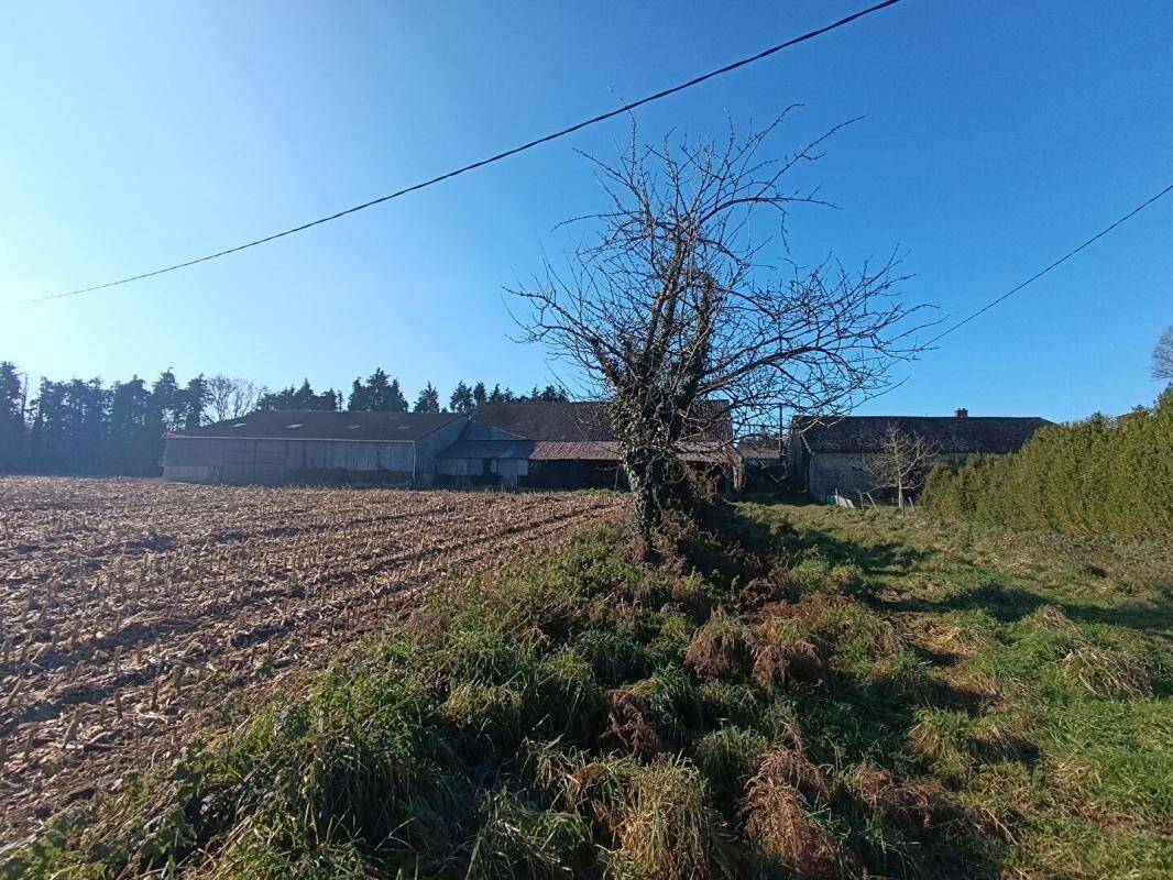 Maison à vendre, 420m², NOYAL PONTIVY