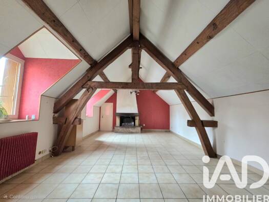 Maison de ville à vendre 415 000 € 10 pièces 6 chambres 225 m² 1 256 m² de terrain Beaumont-Vauquois Orléans 45000